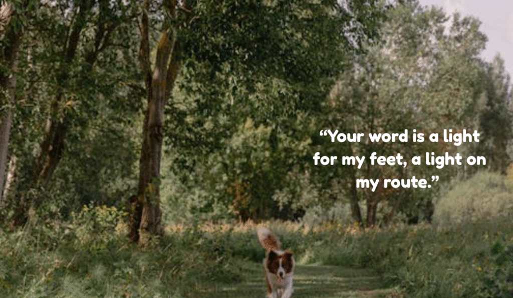 "Beautiful nature scene with inspirational quote from the best Bible verses"