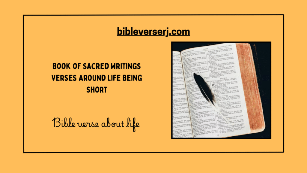 “Inspirational scriptures about life to encourage faith, peace, and strength in God”
