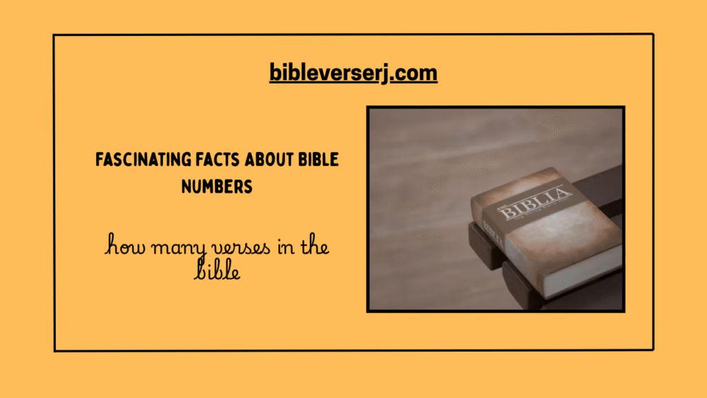 Counting Bible verses in scripture study guide