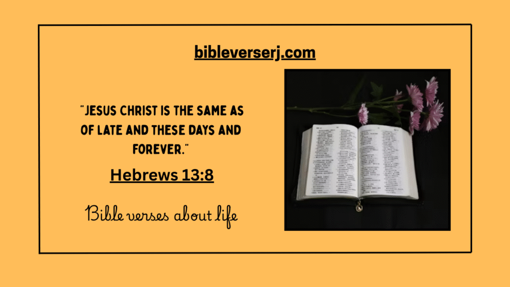 "Scriptures about life to uplift the soul, strengthen faith, and provide spiritual encouragement"