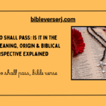 Jesus Wept Bible Verse: Meaning, Setting & Able Lessons from John 11:35