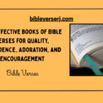 7 Effective Books of Bible Verses of the Day to Rouse Your Confidence Daily