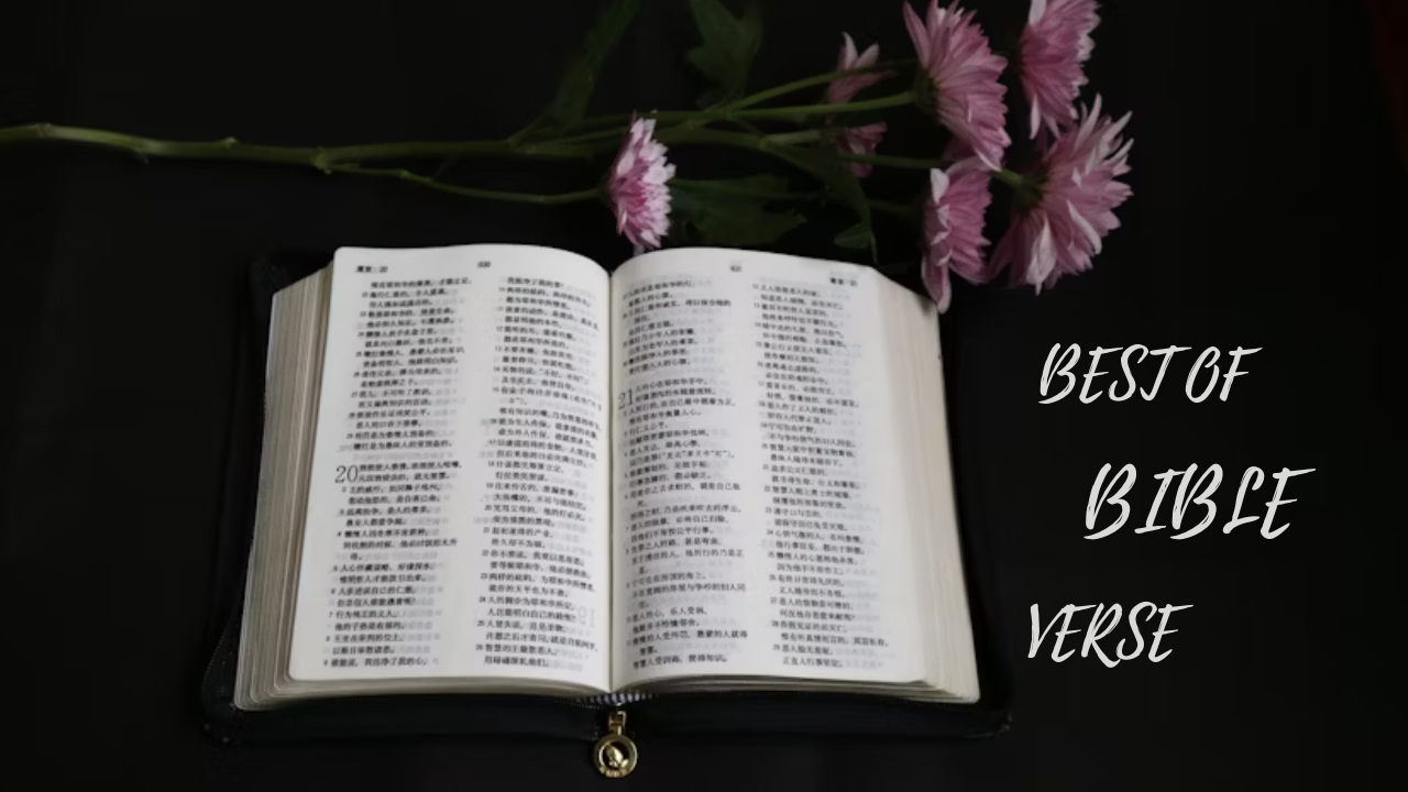 “Open Bible with highlighted best of Bible verses”