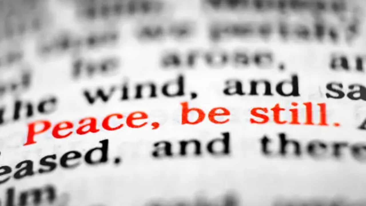 “Open Bible with highlighted Scriptures from the Bible”