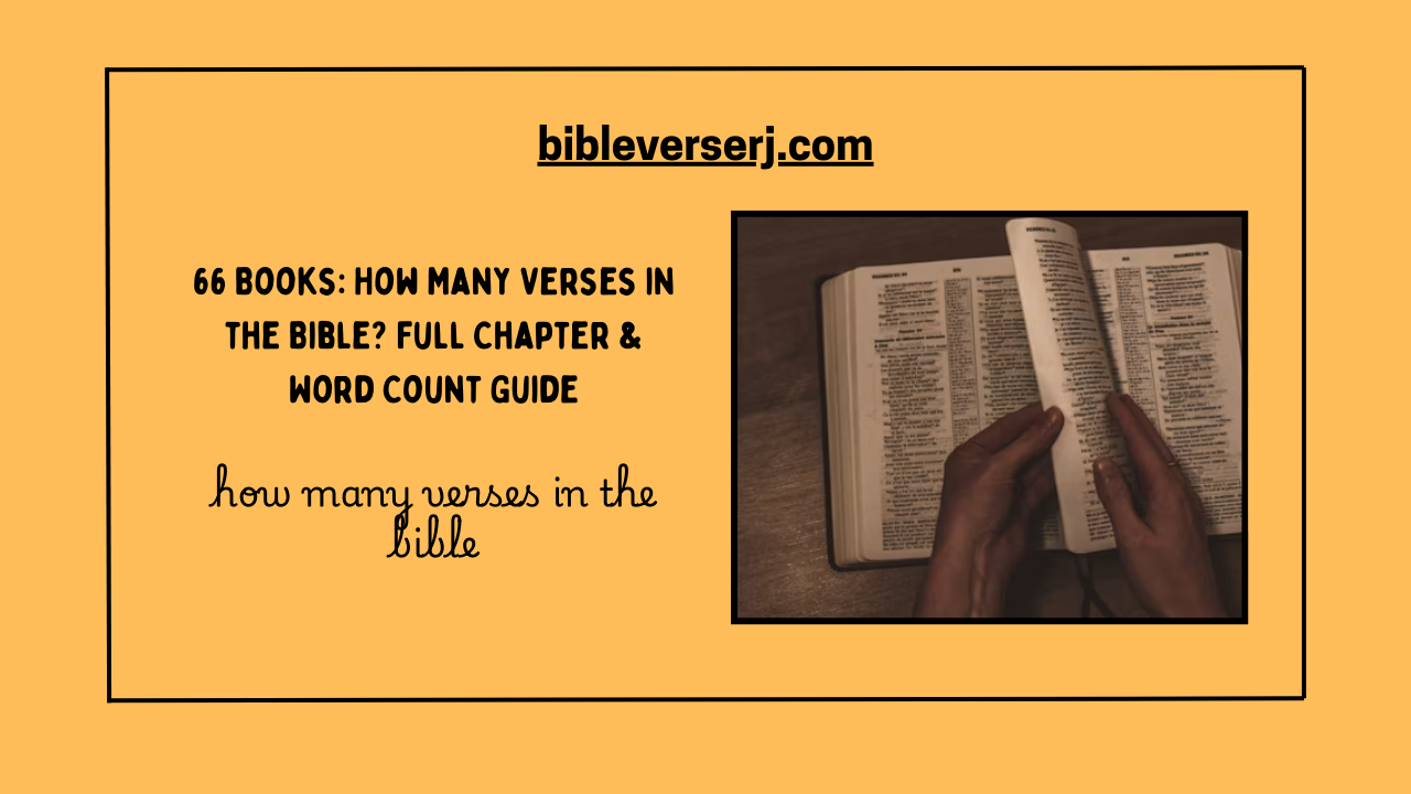 Open Bible showing highlighted verses for study