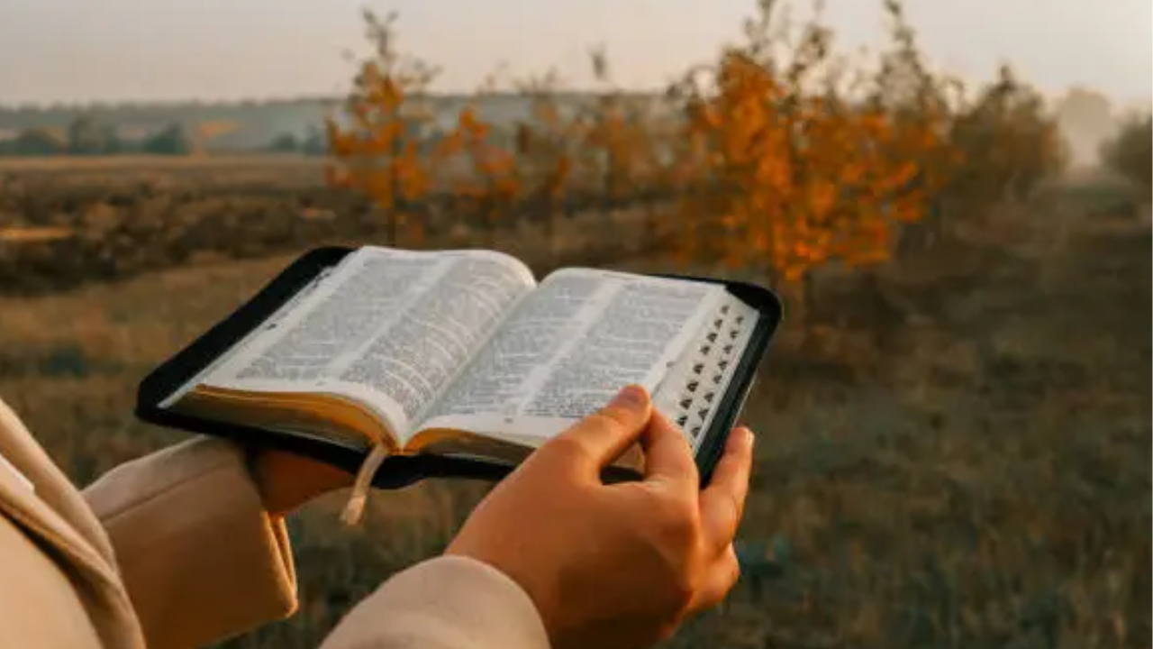 “Open Bible with highlighted short encouraging verses for daily faith inspiration”